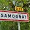 Photo Samognat - samognat (01580)