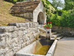 Photo paysage et monuments, Samognat - la fontaine