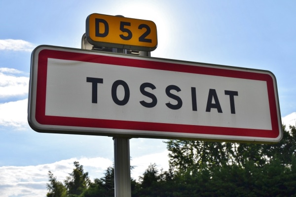 Photo Tossiat - tossiat (01250)