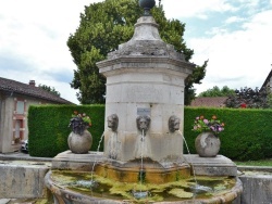 Photo paysage et monuments, Treffort-Cuisiat - la fontaine