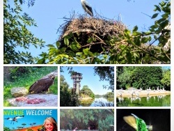 Photo paysage et monuments, Villars-les-Dombes - Villars les Dombes.Ain -Parc des oiseaux Juillet 2016.