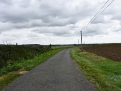 Photo paysage et monuments, Champs - le village