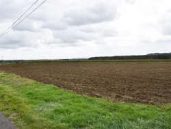 Photo paysage et monuments, Champs - le champ