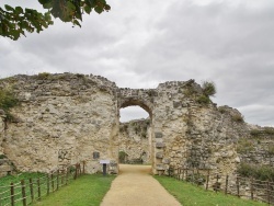 Photo paysage et monuments, Coucy-le-Château-Auffrique - le château