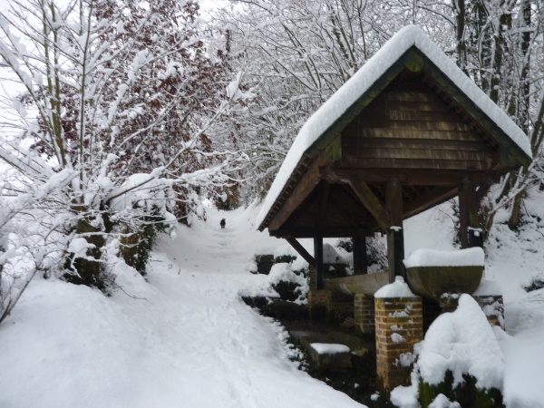 Photo Morgny-en-Thiérache - La "fontaine Martine" à Morgny en Thiérache le 22/12/2010.