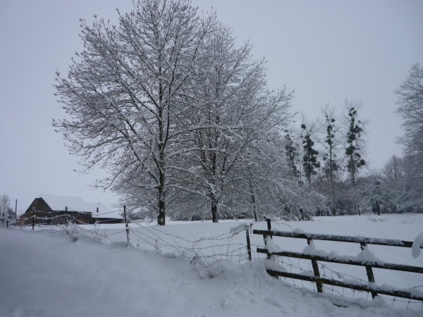 Photo Morgny-en-Thiérache - Rue des Berrières à Morgny en Thiérache le 22/12