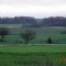 Les champs sur la route de Marigny en Orxois