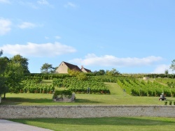 Photo paysage et monuments, Chareil-Cintrat - la commune