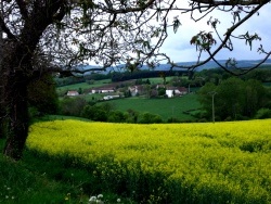 Photo paysage et monuments, Ébreuil - Villeneuve, un hâmeau voisin.