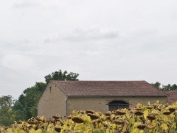 Photo paysage et monuments, Mazerier - la commune