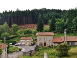 Photo paysage et monuments, Saint-Nicolas-des-Biefs - La Commune