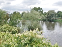 Photo paysage et monuments, Saint-Yorre - la rivière