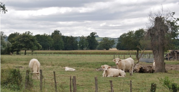 Photo Seuillet - la commune