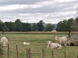 Photo paysage et monuments, Seuillet - la commune