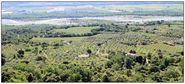 La vue sur la Durance et les oliveraies depuis Lurs