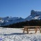 A la terrasse du   "COLLET du TAT "  ....