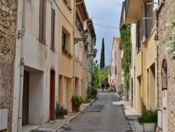 Photo paysage et monuments, Mouans-Sartoux - la commune