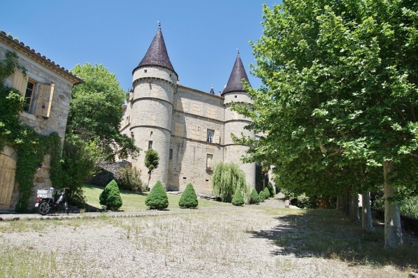Photo Chambonas - le Château