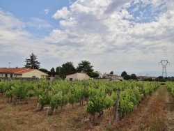 Photo paysage et monuments, Cornas - le village