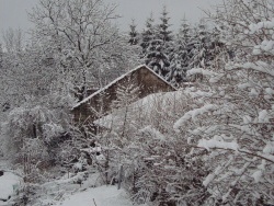 Photo vie locale, Lachapelle-Graillouse - les sapins  chambre d'hote  sous la neige
