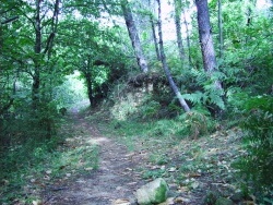Photo paysage et monuments, Saint-Paul-le-Jeune - La Forêt