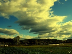 Photo paysage et monuments, Salavas - LA PLAINE AGRICOLE DE SALAVAS