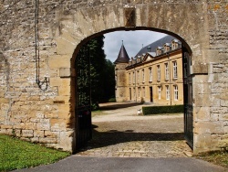 Photo paysage et monuments, Flize - Le Château