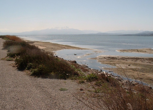 Photo Leucate - L'étang de Leucate