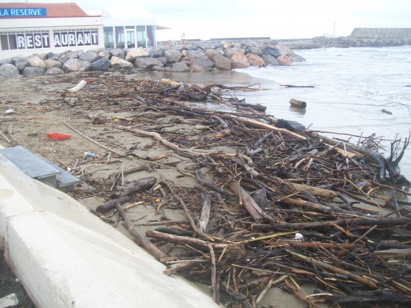 Photo Port-la-Nouvelle - plage de bois