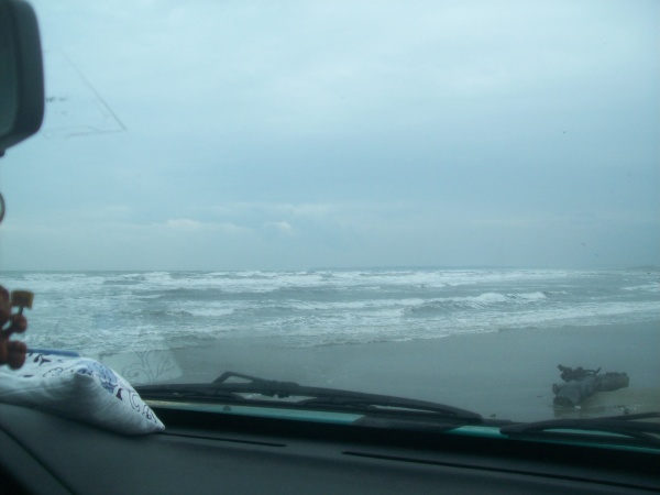 Photo Port-la-Nouvelle - plage de bois