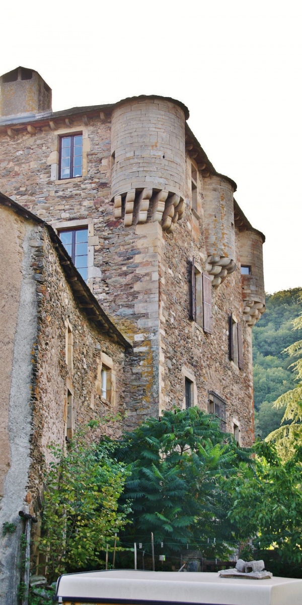 Photo Balaguier-sur-Rance - Château de Balaguier-sur-Rance