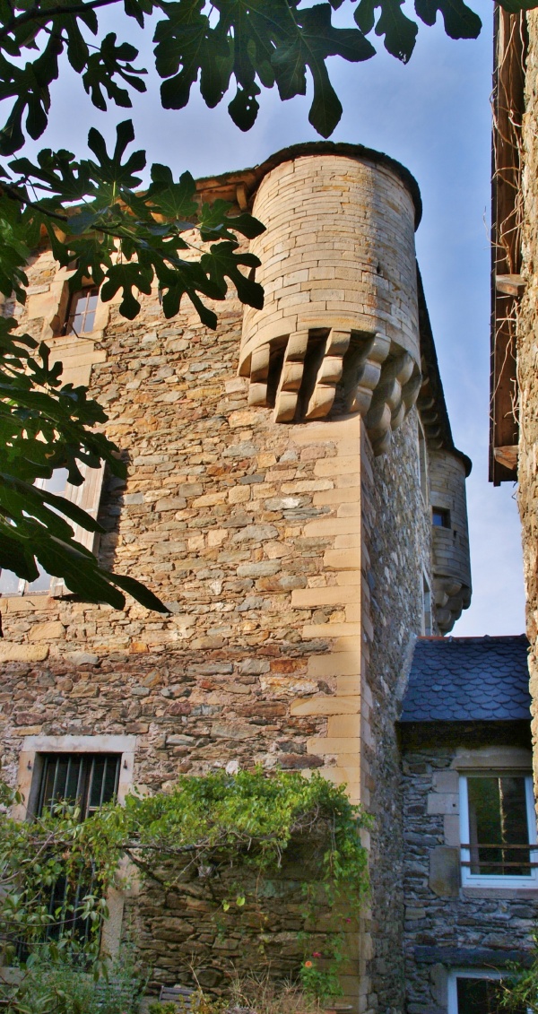 Photo Balaguier-sur-Rance - Château de Balaguier-sur-Rance