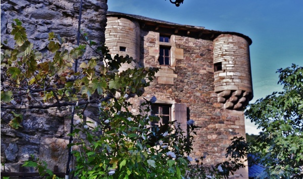 Photo Balaguier-sur-Rance - Château de Balaguier-sur-Rance