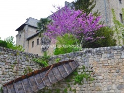 Photo paysage et monuments, Entraygues-sur-Truyère - ENTRAYGUES SUR TRUYERE / SON CHATEAU