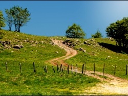 Photo paysage et monuments, Laguiole - chemin