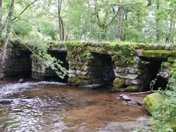 Photo paysage et monuments, Laguiole - le pont