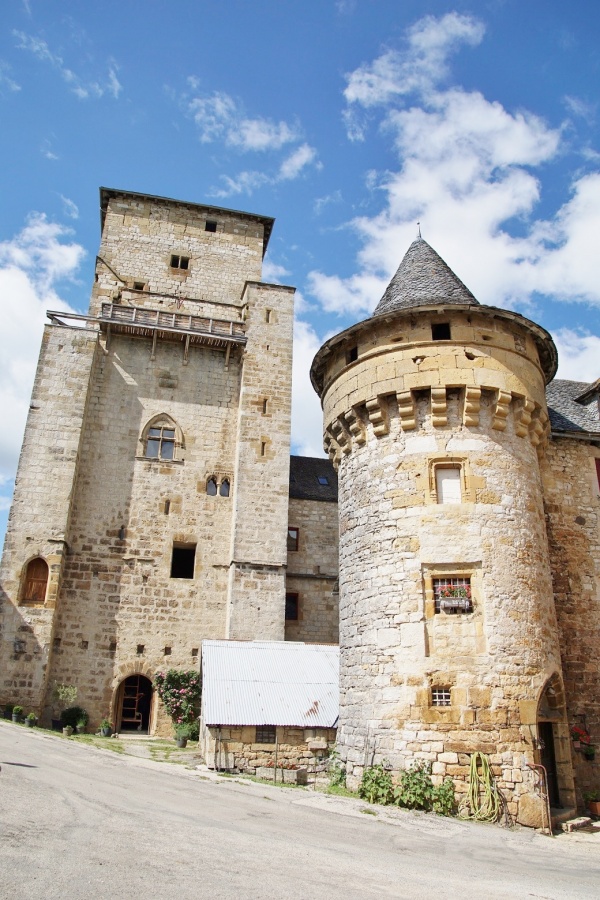 Photo Pierrefiche - le château de Galinieres