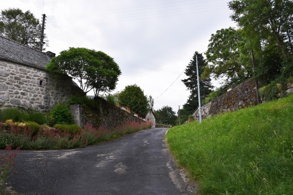 Photo Sainte-Geneviève-sur-Argence - le village