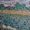 Photo Arles - ARLES; Champ de blé avec iris, influence Vincent Van Gogh