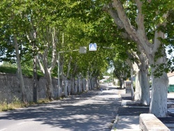 Photo paysage et monuments, Arles - la ville