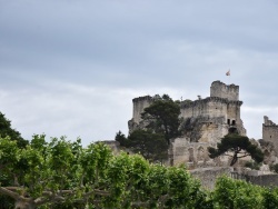 Photo paysage et monuments, Boulbon - le château