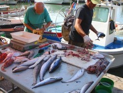 Photo paysage et monuments, Cassis - A Cassis