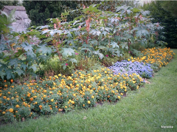 Photo Châteauneuf-les-Martigues - Jardin fleuri de la Chapelle St Cécile