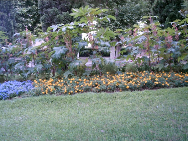 Photo Châteauneuf-les-Martigues - Jardin Chapelle St Cécile