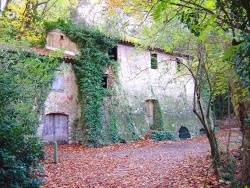 Photo paysage et monuments, Gémenos - La forêt de St Pons à Gémenos (13)