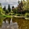 Photo Graveson - Jardin aquatique "Aux fleurs de l'eau"