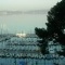 Photo Istres - Le port au crépuscule