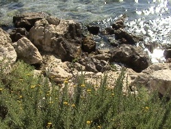 Photo paysage et monuments, Martigues - Reflets du solei sur l'eau, Parc de la Rode