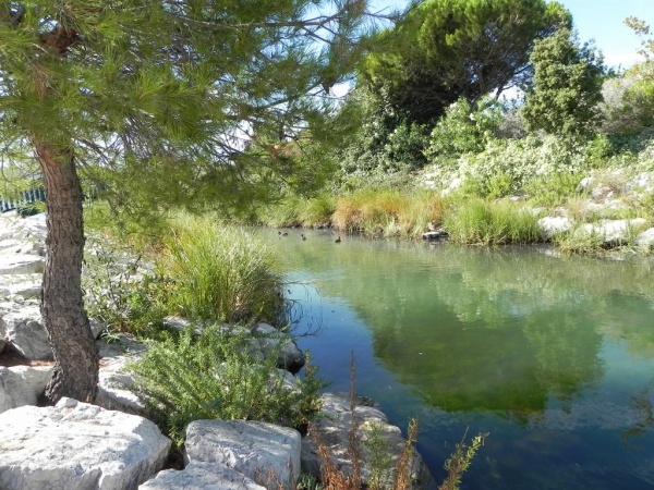 Photo Martigues - Petit plan d'eau où vit les familles canards