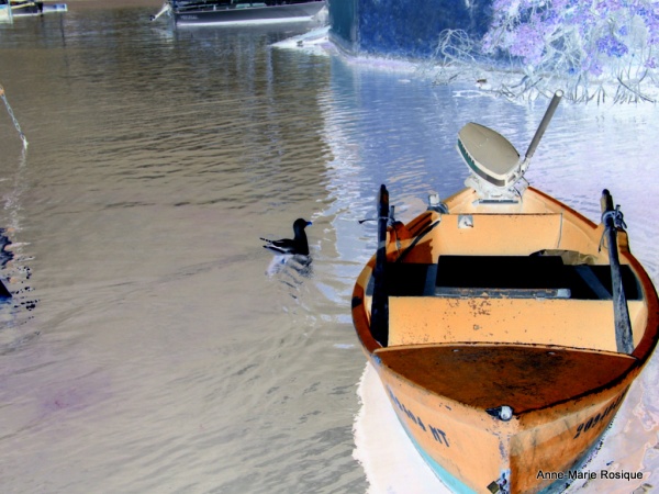 Photo Martigues - La mouette et la barque